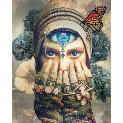 Follow Your Intuition
