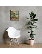 Sirena of the Deep - Framed Print