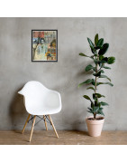 Wistful Reverie - Framed Matte Print