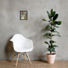 Wistful Reverie - Framed Matte Print