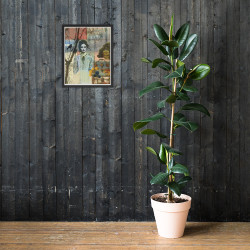 Wistful Reverie - Framed Matte Print