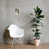 Wistful Reverie - Framed Matte Print