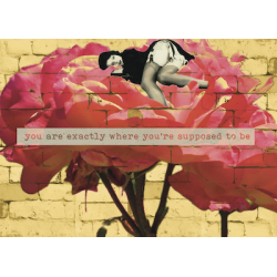 You Are Exactly Where You Are Suppose To Be